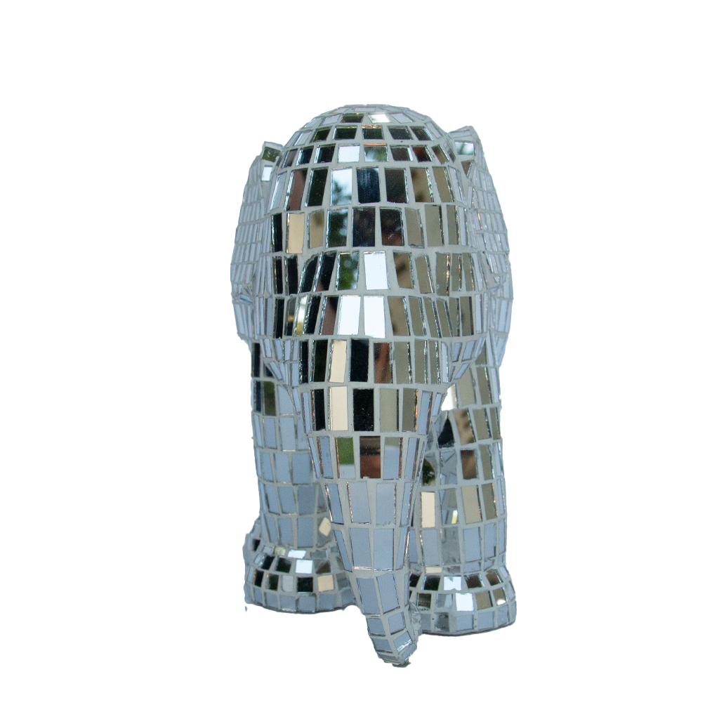Disco Disco
