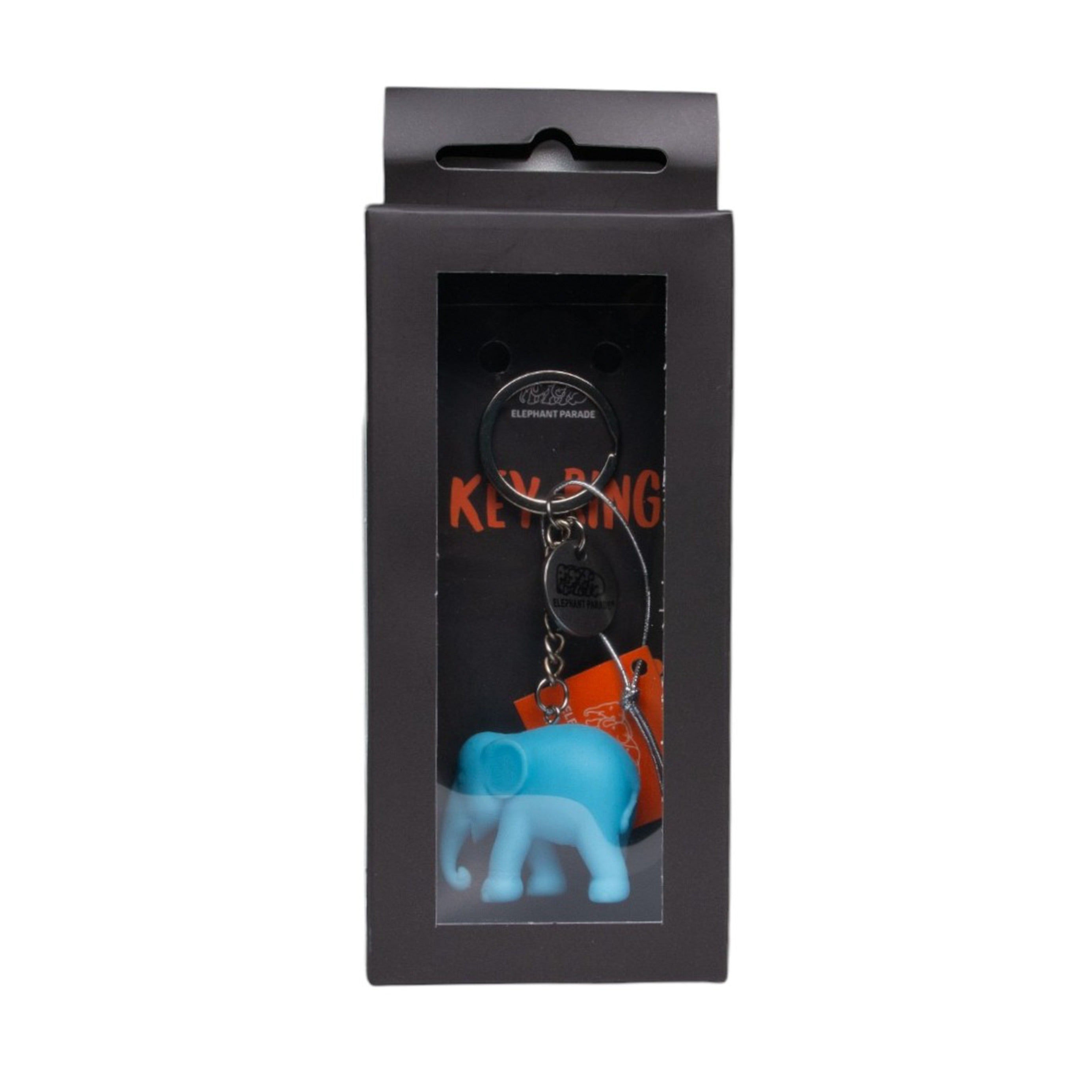 Light Blue Keyring