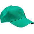 Favicon Cap - Green
