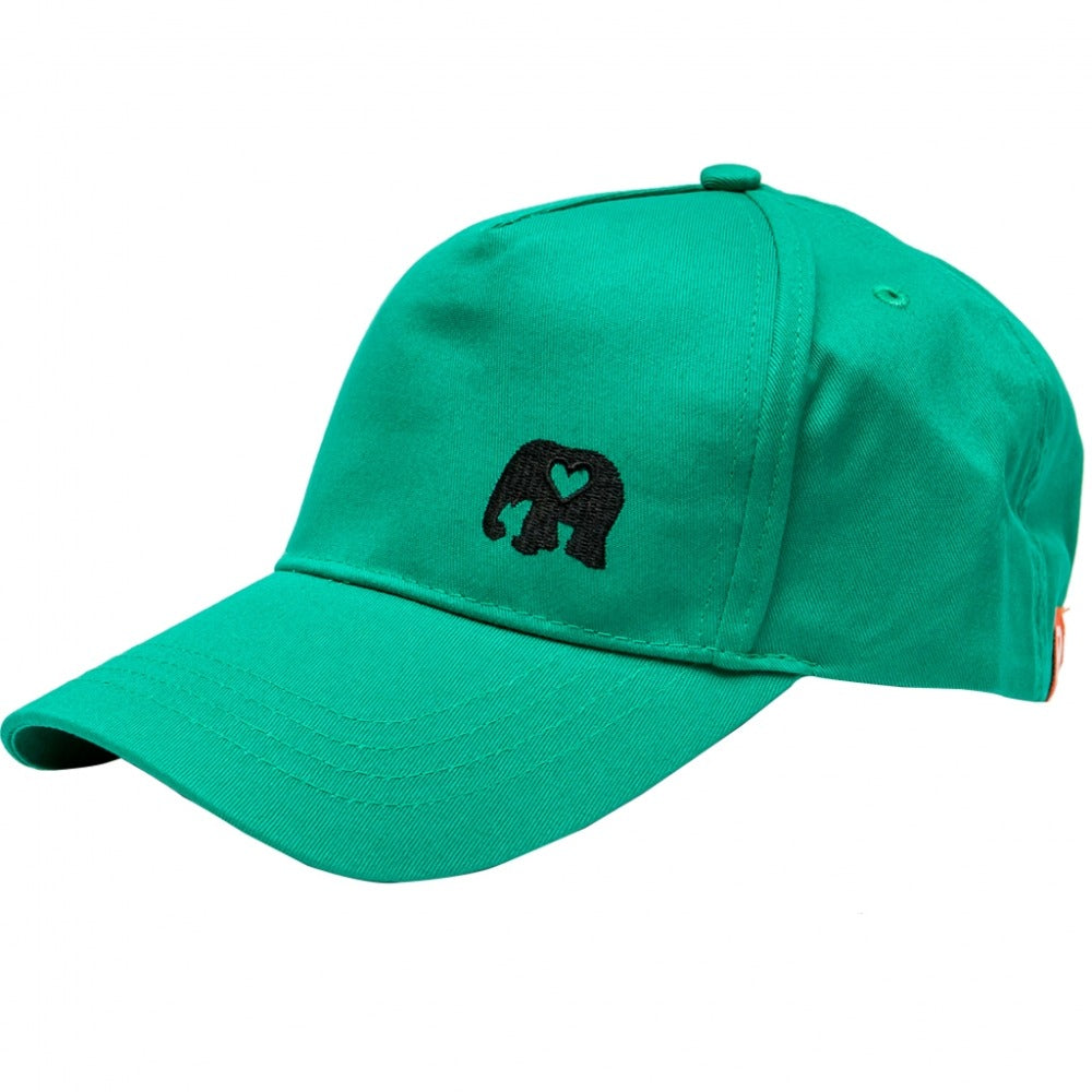 Favicon Cap - Green